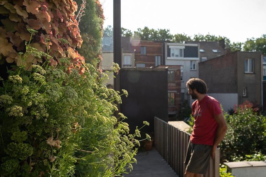 groene gevel muurtuin hangtuin Plantwerpen planten groene gevel muurtuin hangtuin Plantwerpen planten